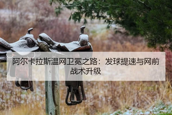 a-er-ka-la-si-wen-wang-wei-mian-zhi-lu-fa-qiu-ti-su-yu-wang-qian-zhan-shu-sheng-ji-2-780.jpg