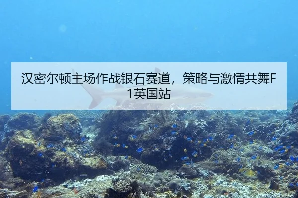 汉密尔顿主场作战银石赛道，策略与激情共舞F1英国站