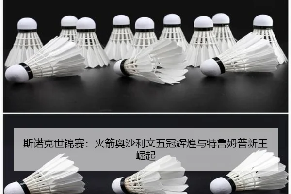 si-nuo-ke-shi-jin-sai-huo-jian-ao-sha-li-wen-wu-guan-hui-huang-yu-te-lu-mu-pu-xin-wang-jue-qi-2-545.jpg