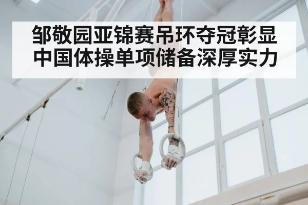 邹敬园亚锦赛吊环夺冠彰显中国体操单项储备深厚实力